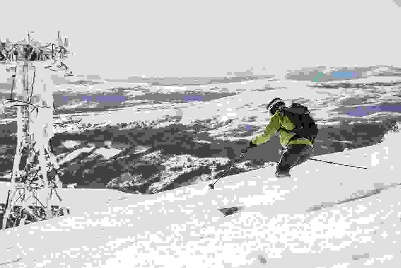 skiiers-deal-1330x890_.jpg