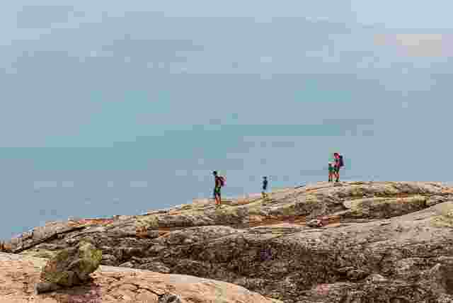sommarvandring_1330x890.jpg