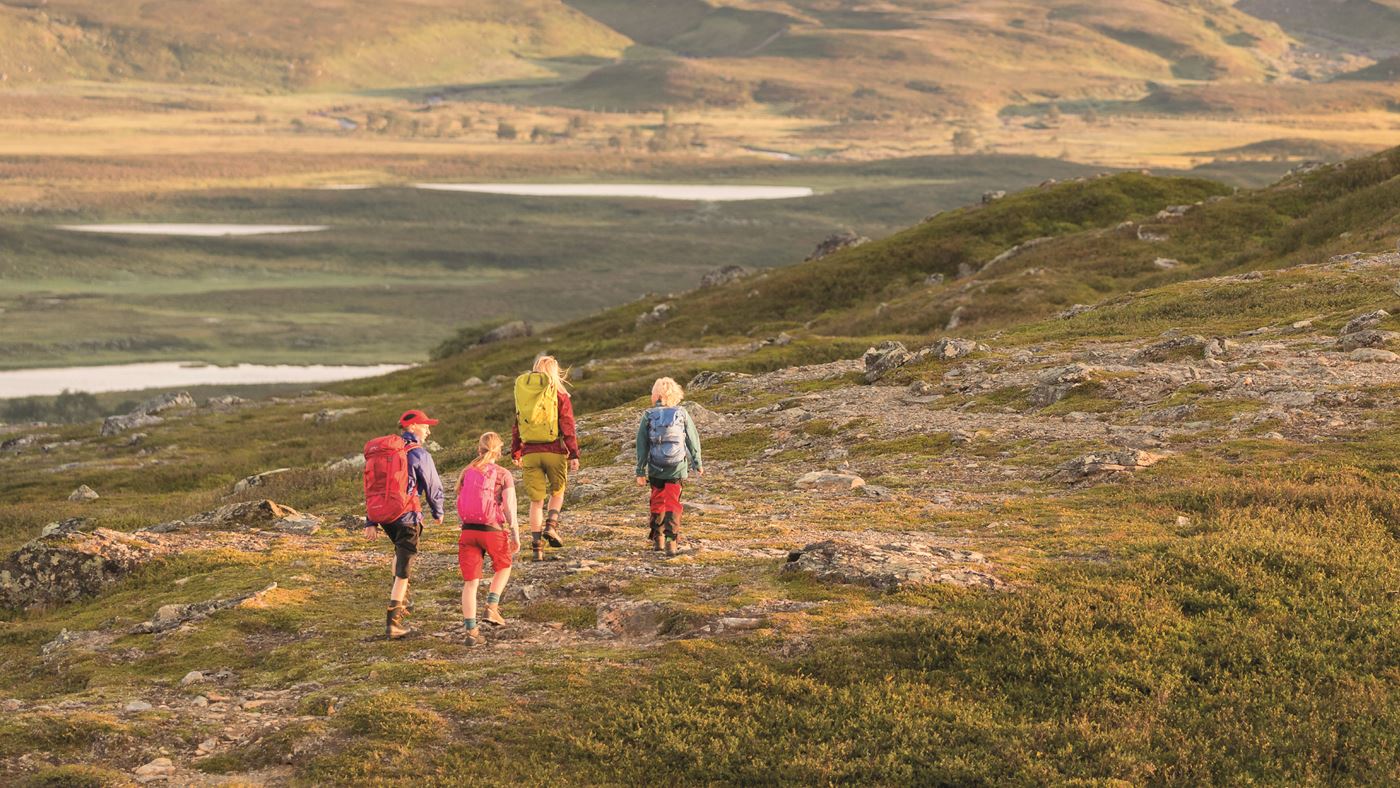 För dig som är ICA Stammis