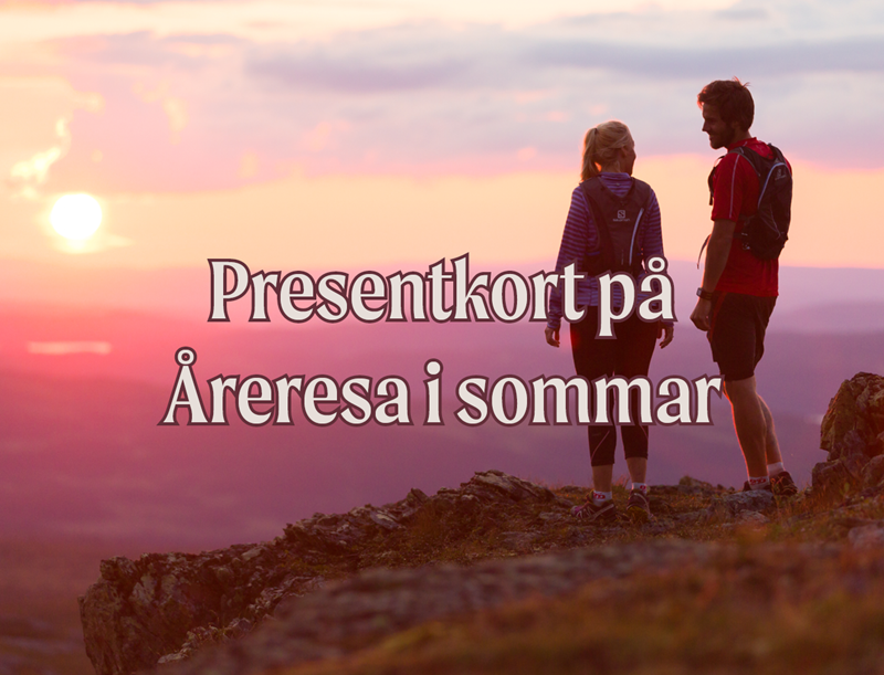 morsdagpuffar_1330x1015_.png