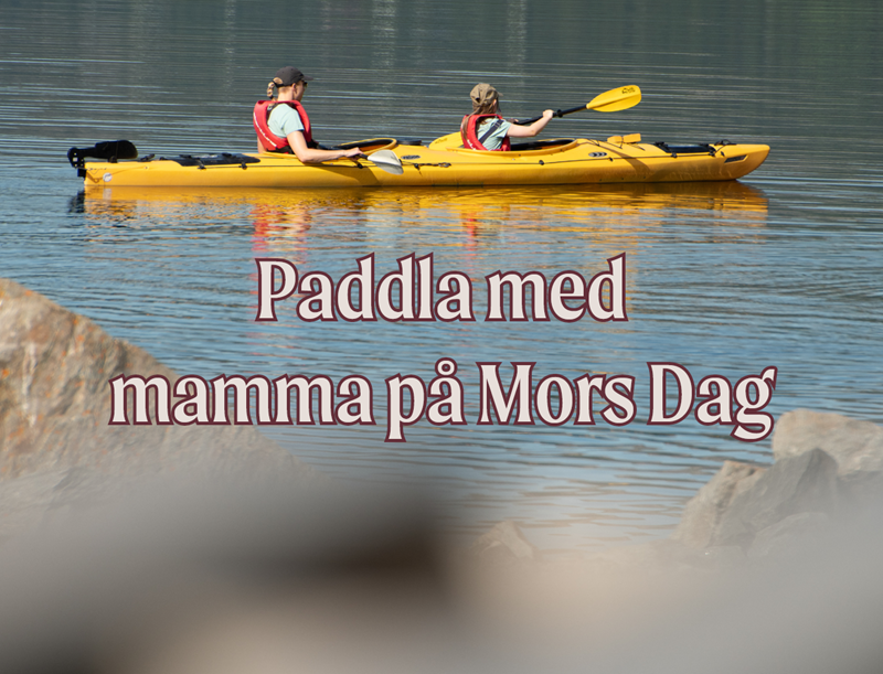 morsdagpuffar_1330x1015_3.png