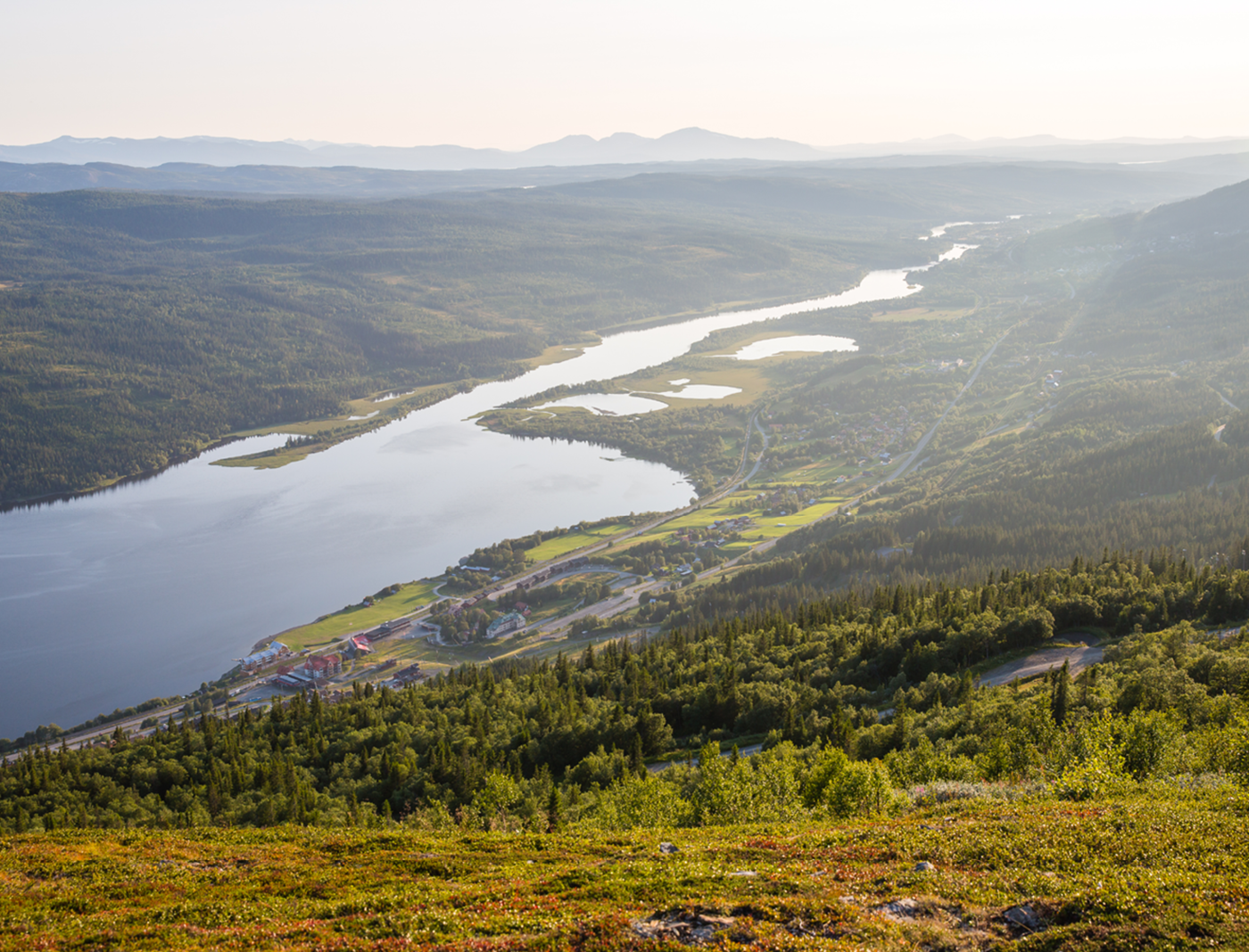 sommar_1330x1015_anette-andersson.png